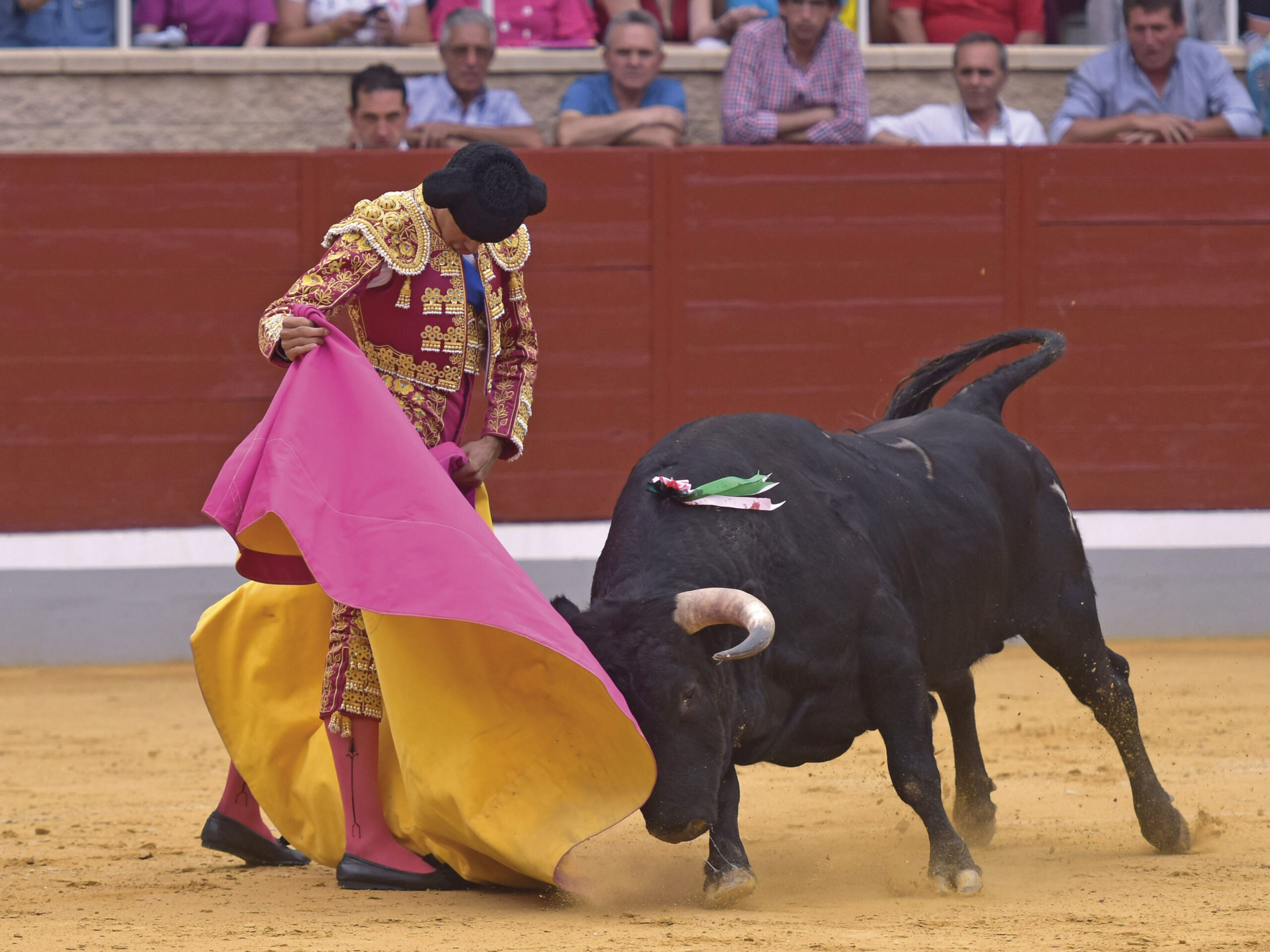 Ases de oro de la novillería