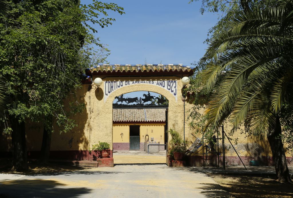 Conde de la Maza
