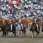 Lima, 25 de noviembre de 2018.