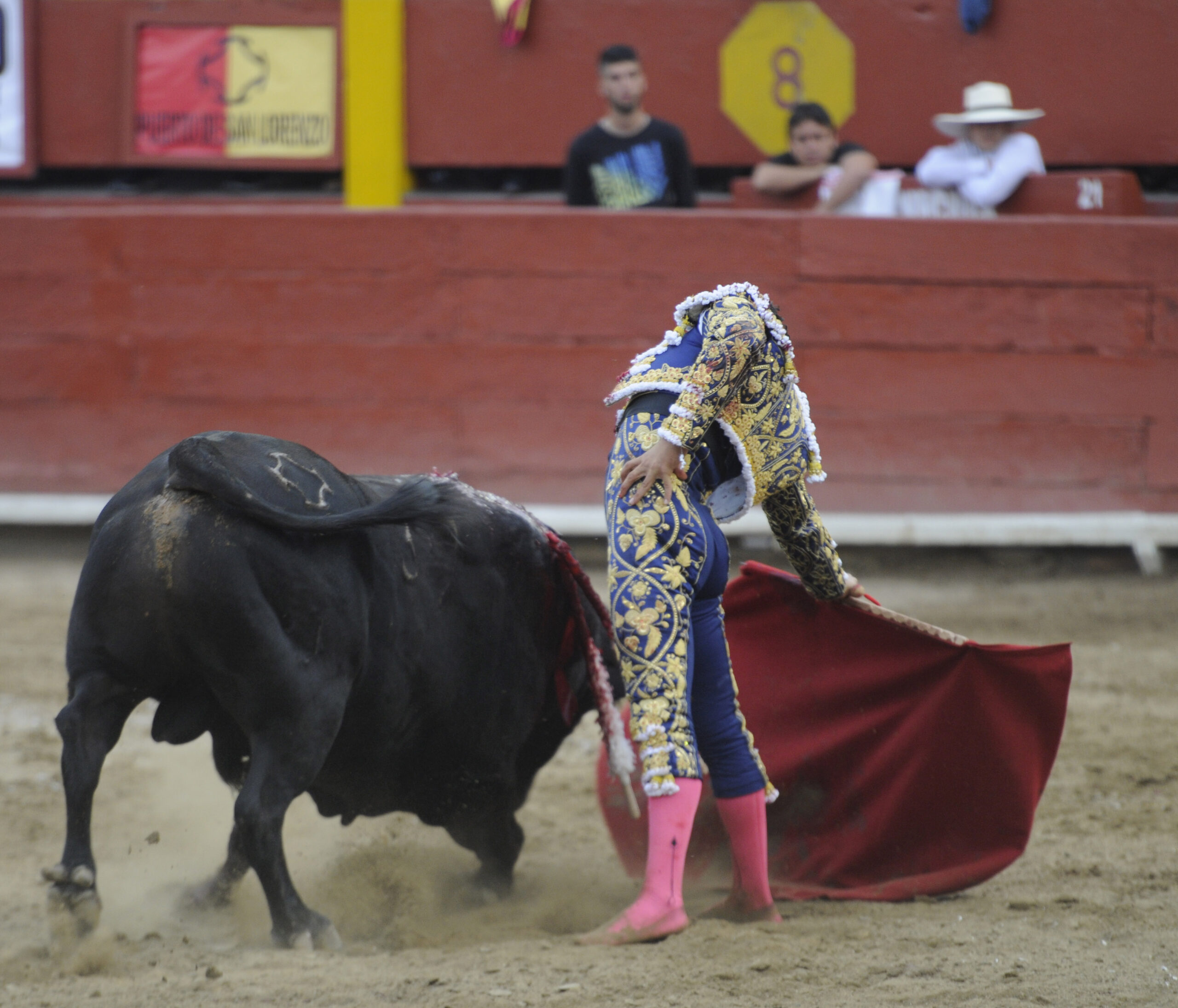 Lima, 25 de noviembre de 2018.