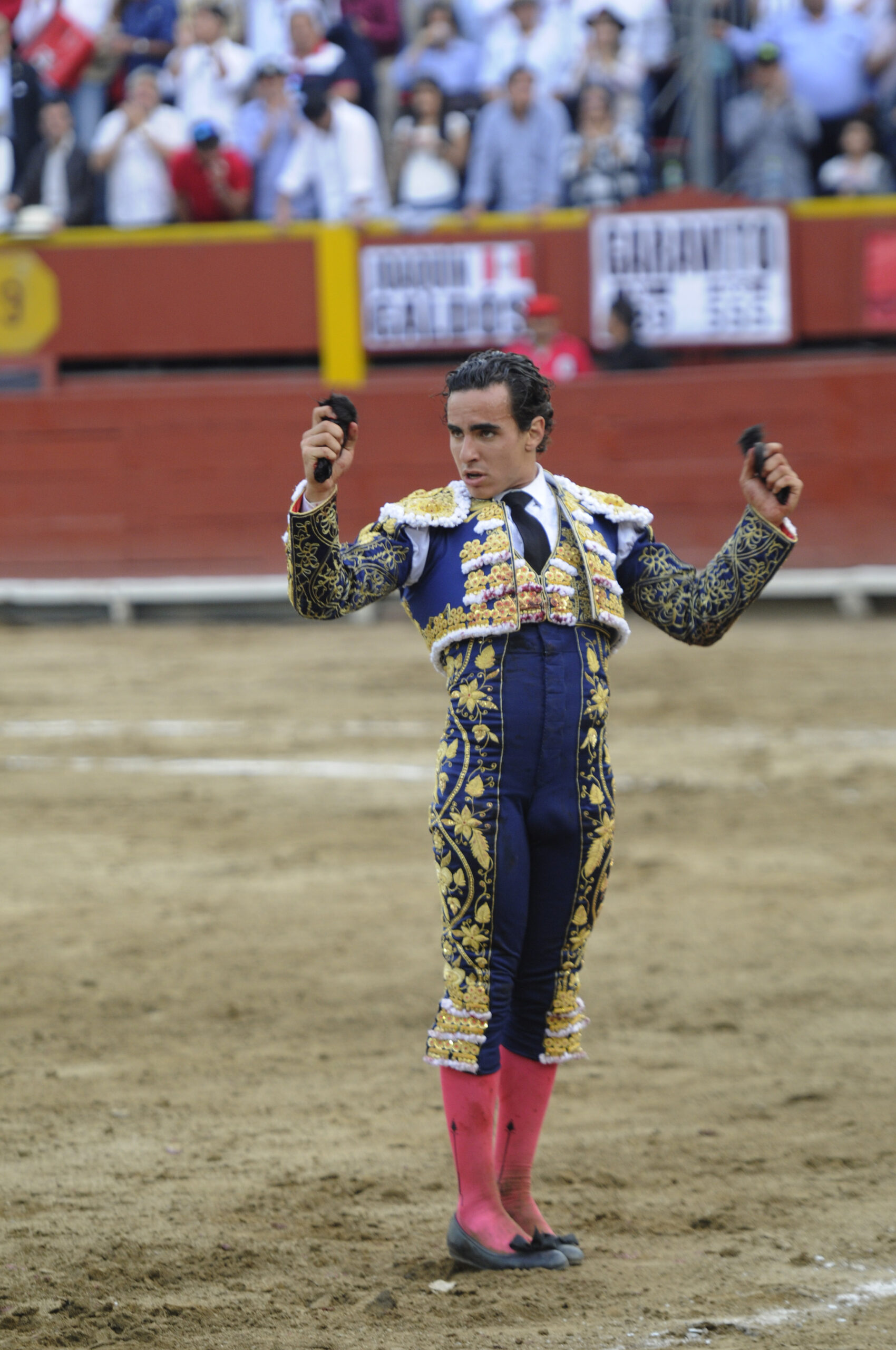 Lima, 25 de noviembre de 2018.