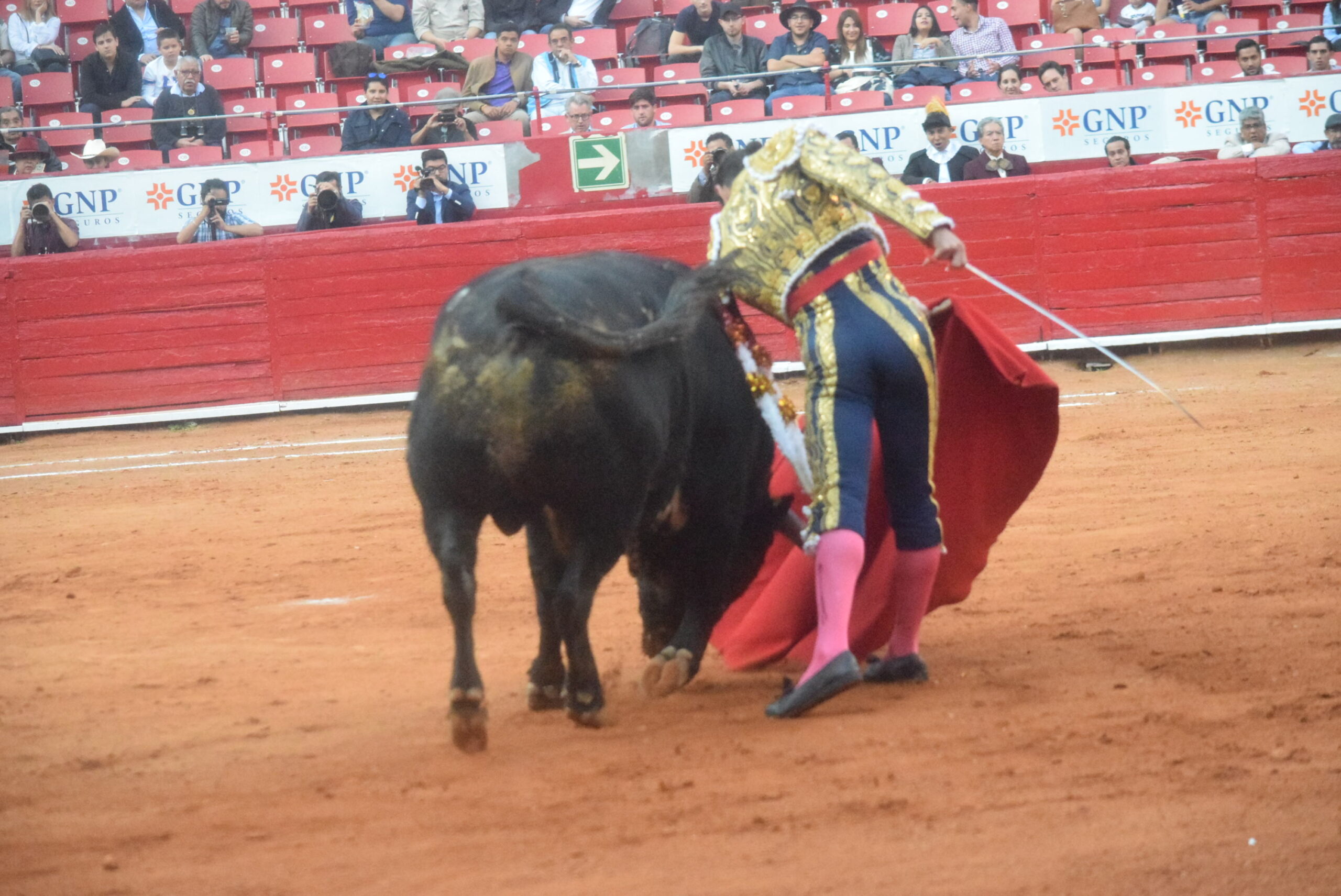 México DF. 25 de diciembre de 2018.