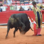 México DF. 25 de diciembre de 2018.