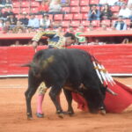 México DF. 25 de diciembre de 2018.