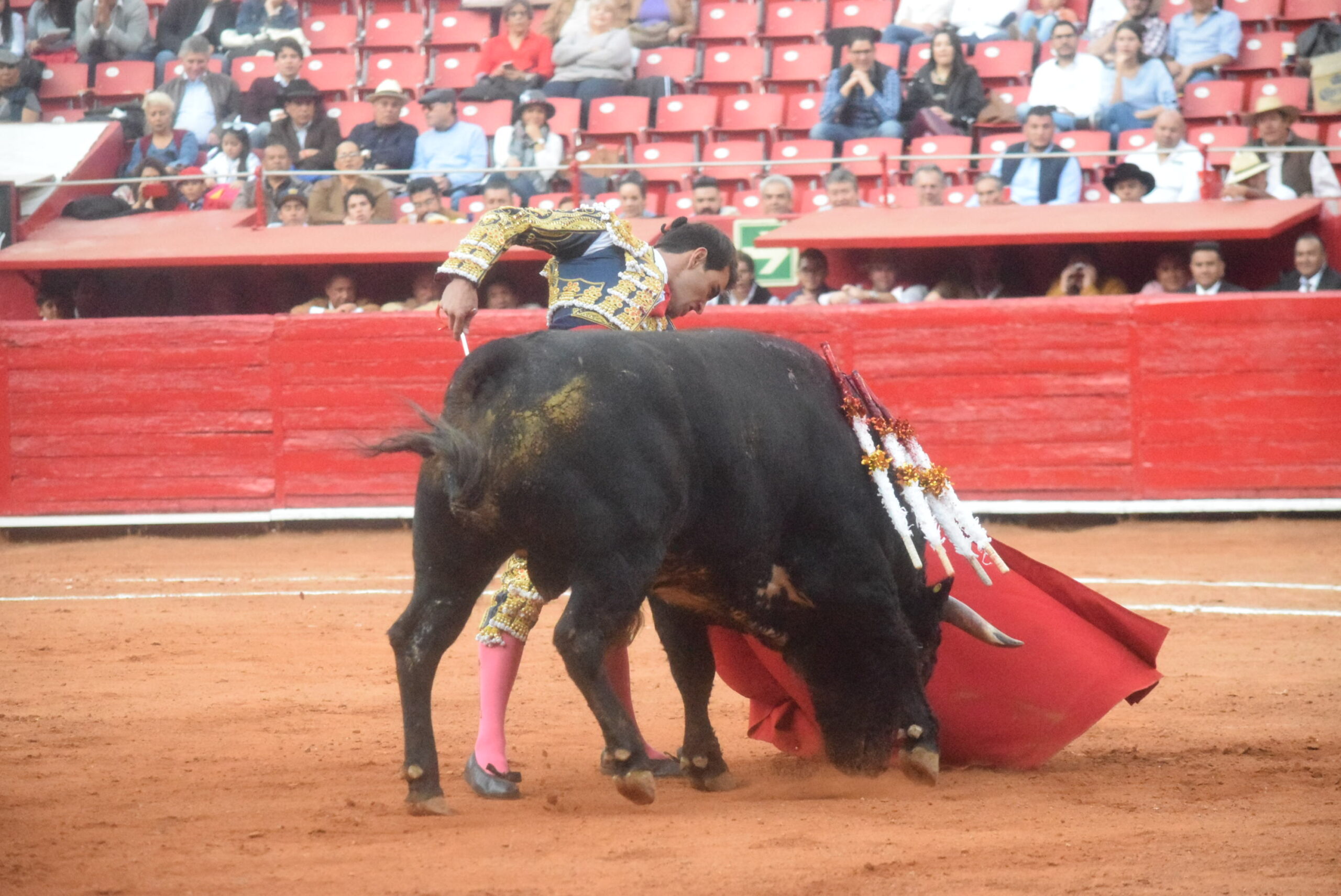 México DF. 25 de diciembre de 2018.