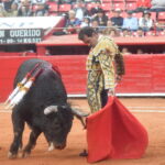 México DF. 25 de diciembre de 2018.