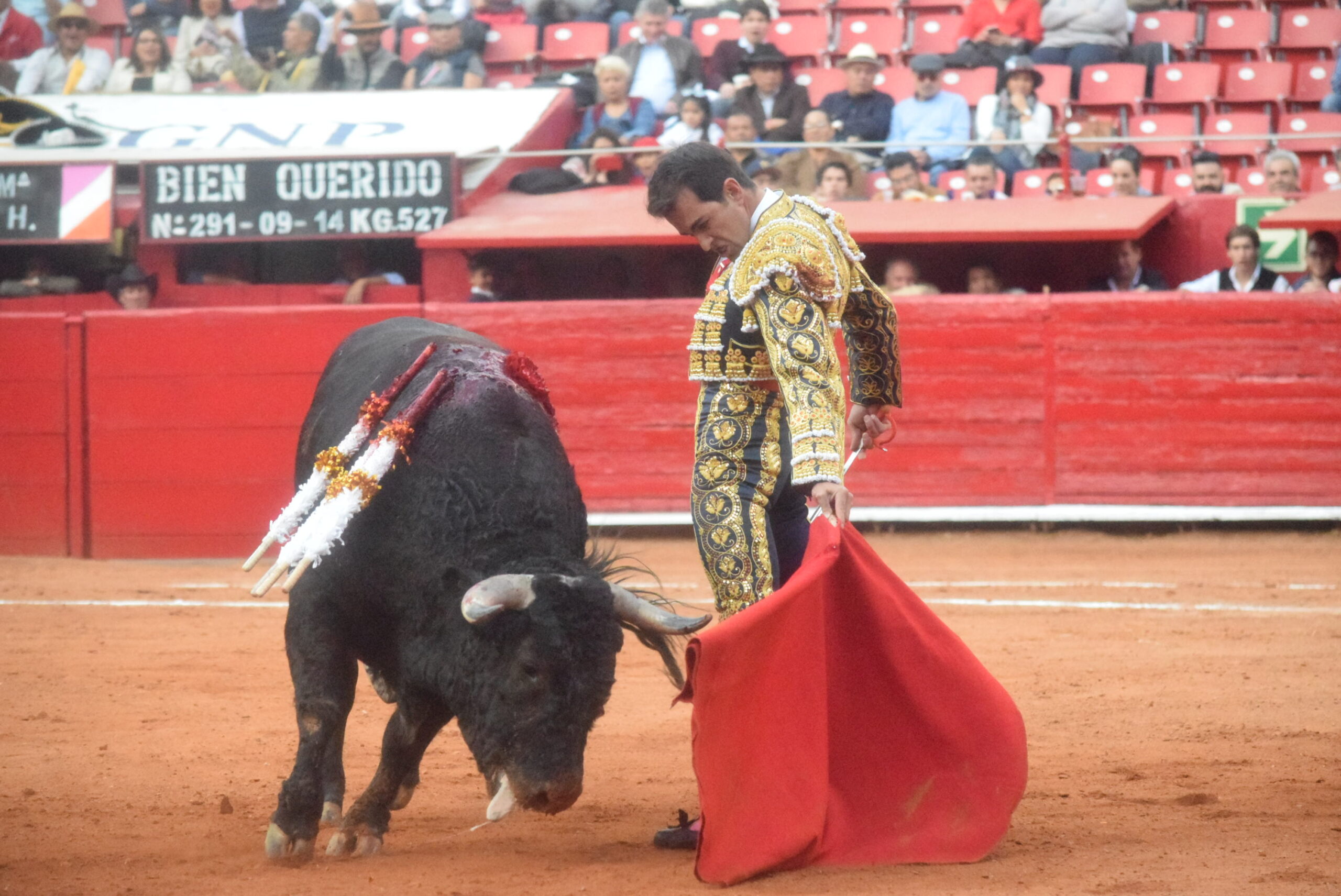 México DF. 25 de diciembre de 2018.