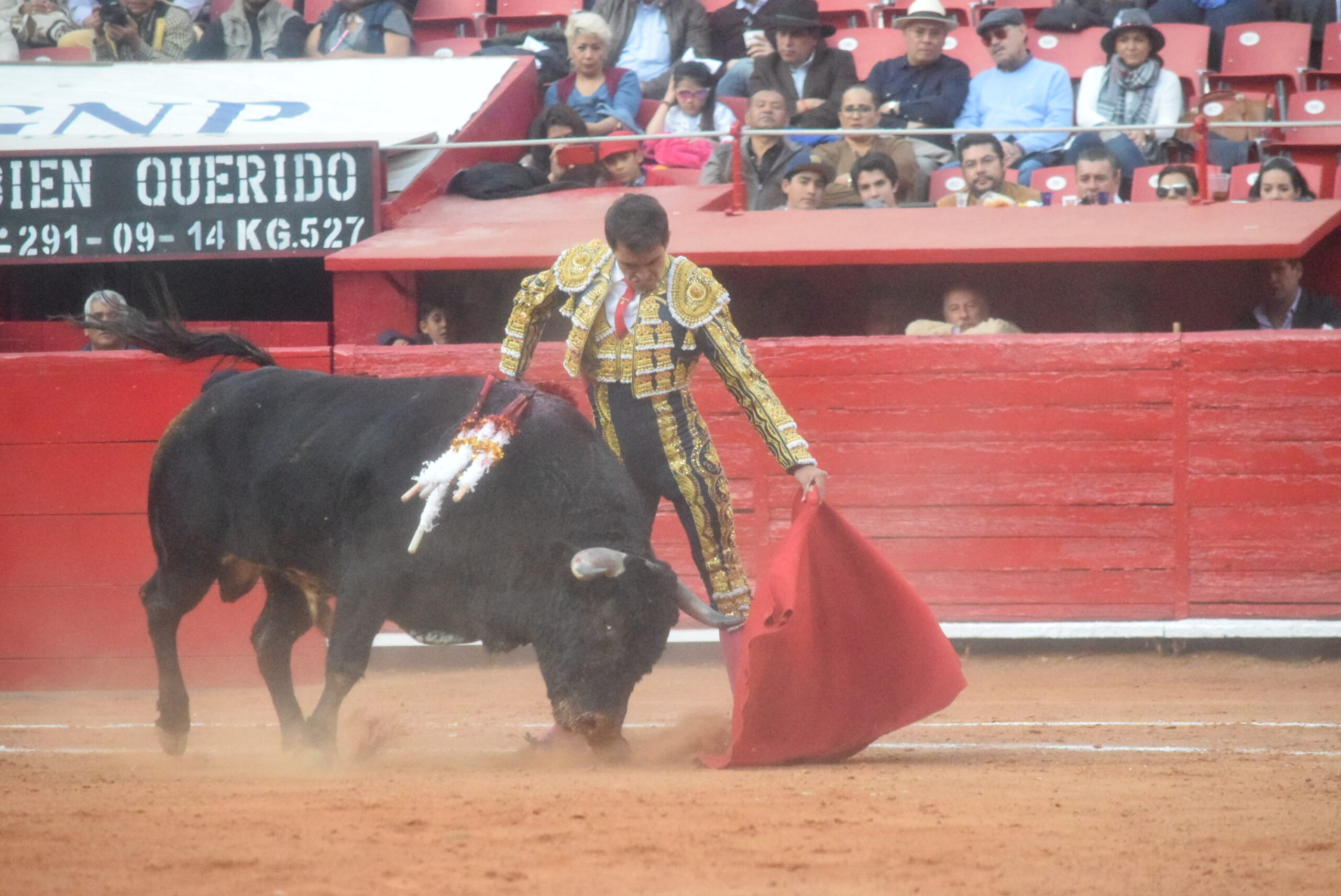 México DF. 25 de diciembre de 2018.