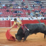 México DF. 25 de diciembre de 2018.