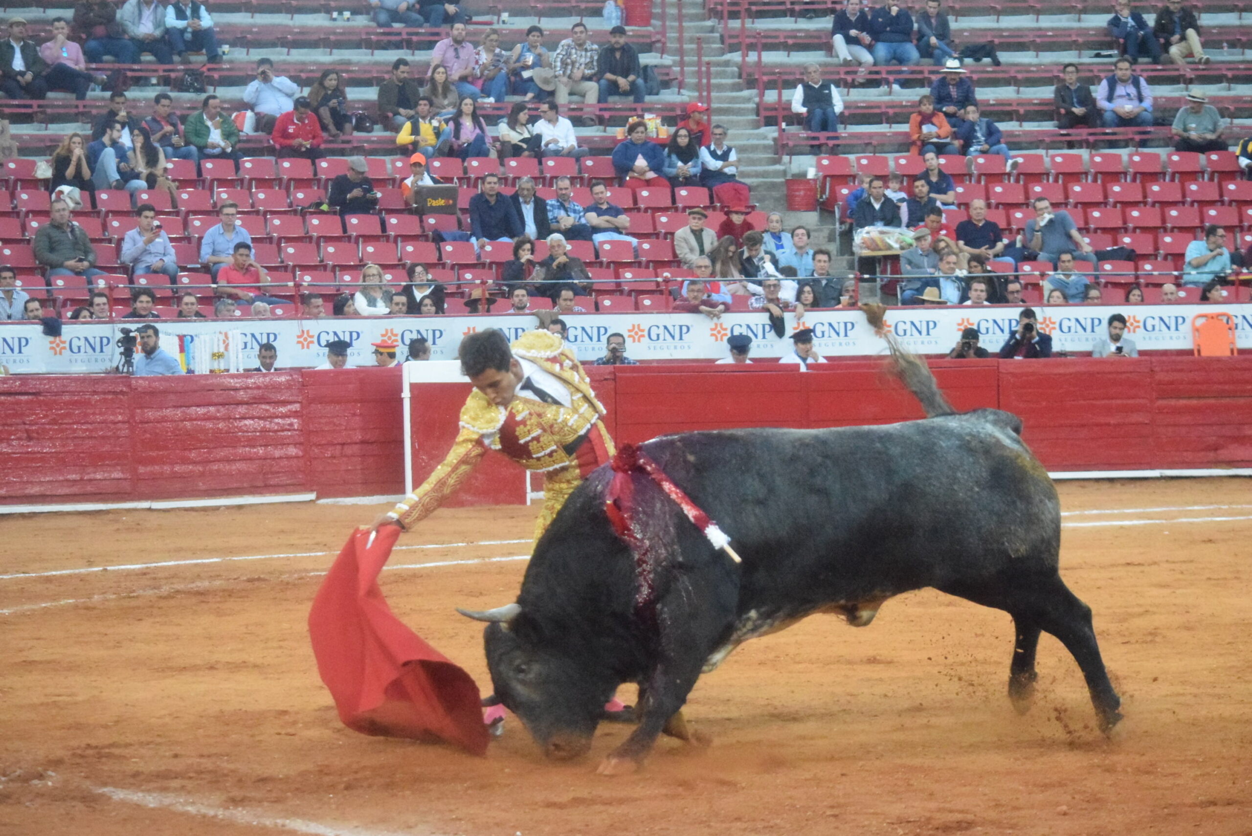 México DF. 25 de diciembre de 2018.