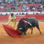 México DF. 25 de diciembre de 2018.