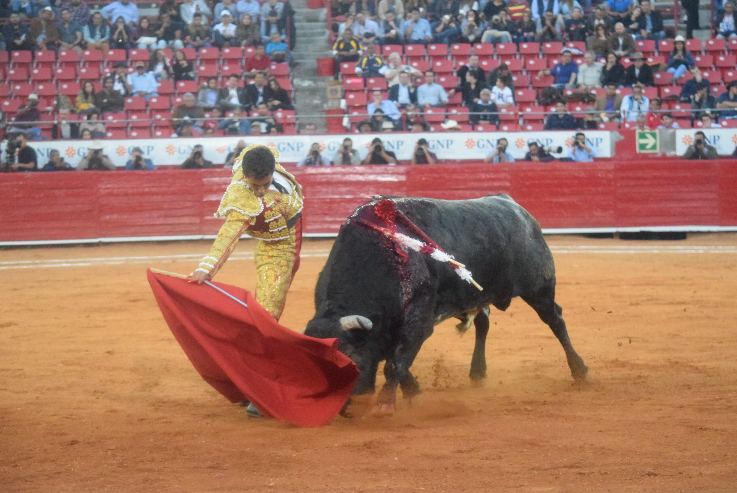 México DF. 25 de diciembre de 2018.