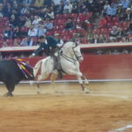 México DF. 25 de diciembre de 2018.