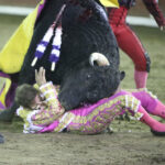 Tlaxcala (Mexico) - A hombros Angelino y Ferrera