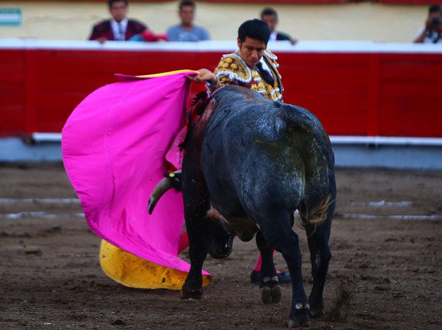 Irapuato (México) - El Zapata arma la Revolución saliendo a hombros en Irapuato, Armillita y Cartagena pasean oreja
