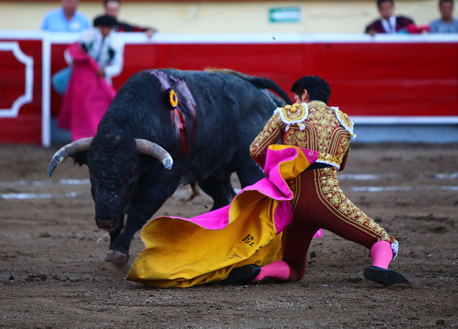 Irapuato (México) - El Zapata arma la Revolución saliendo a hombros en Irapuato, Armillita y Cartagena pasean oreja