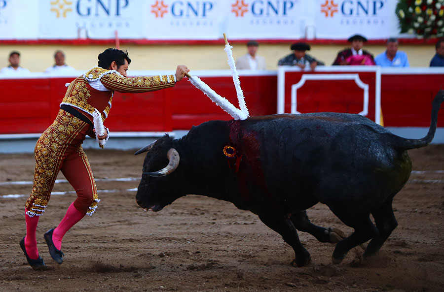 Irapuato (México) - El Zapata arma la Revolución saliendo a hombros en Irapuato, Armillita y Cartagena pasean oreja