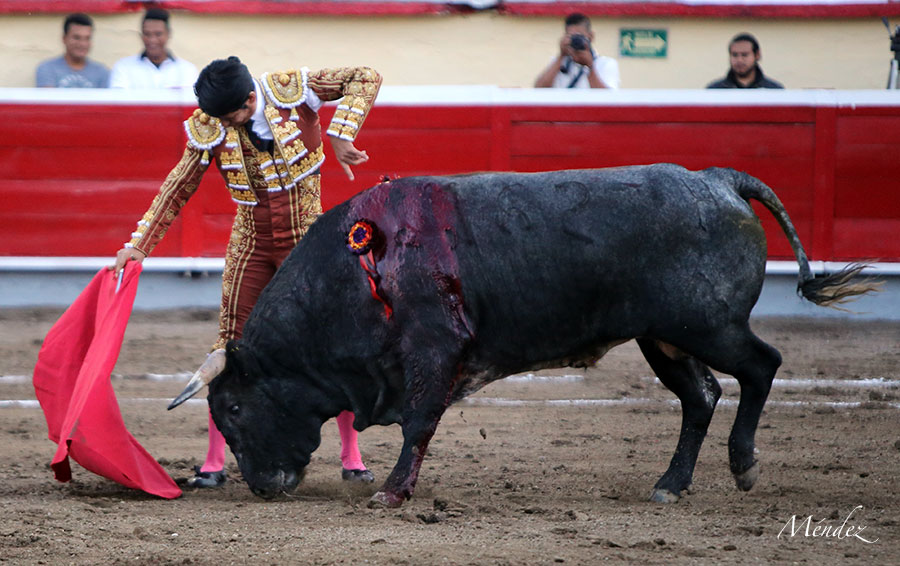 Irapuato (México) - El Zapata arma la Revolución saliendo a hombros en Irapuato, Armillita y Cartagena pasean oreja