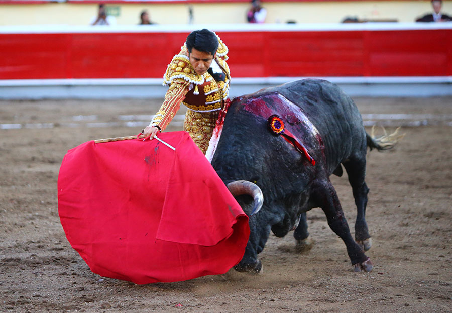 Irapuato (México) - El Zapata arma la Revolución saliendo a hombros en Irapuato, Armillita y Cartagena pasean oreja