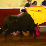 Irapuato (México) - El Zapata arma la Revolución saliendo a hombros en Irapuato, Armillita y Cartagena pasean oreja