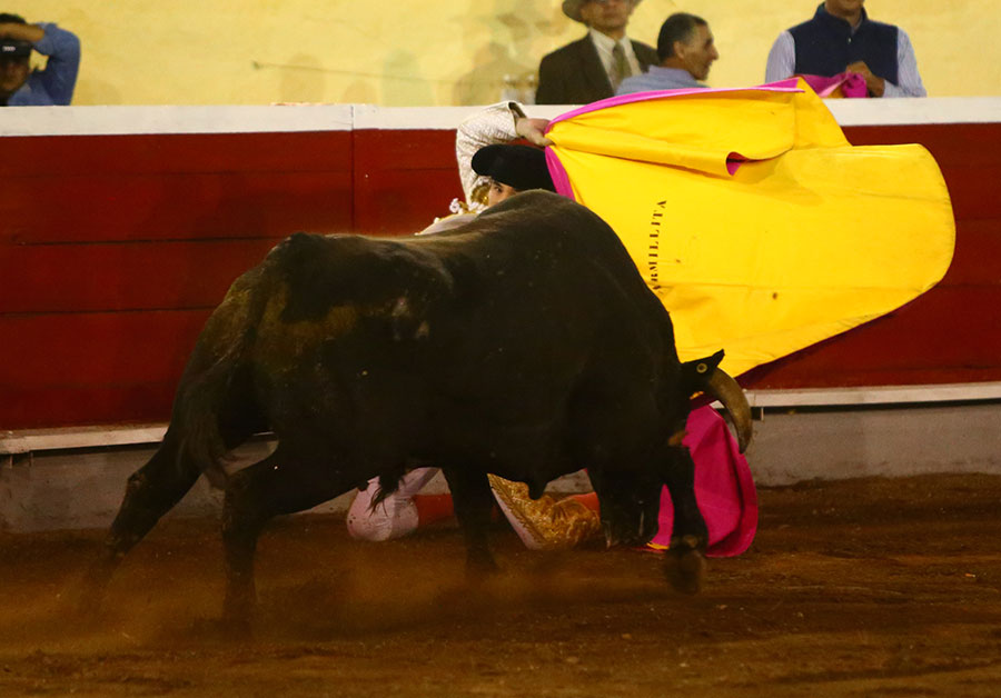 Irapuato (México) - El Zapata arma la Revolución saliendo a hombros en Irapuato, Armillita y Cartagena pasean oreja