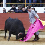 Rion de Landes (Francia) - Festival - Domingo 18 de noviembre de 2018