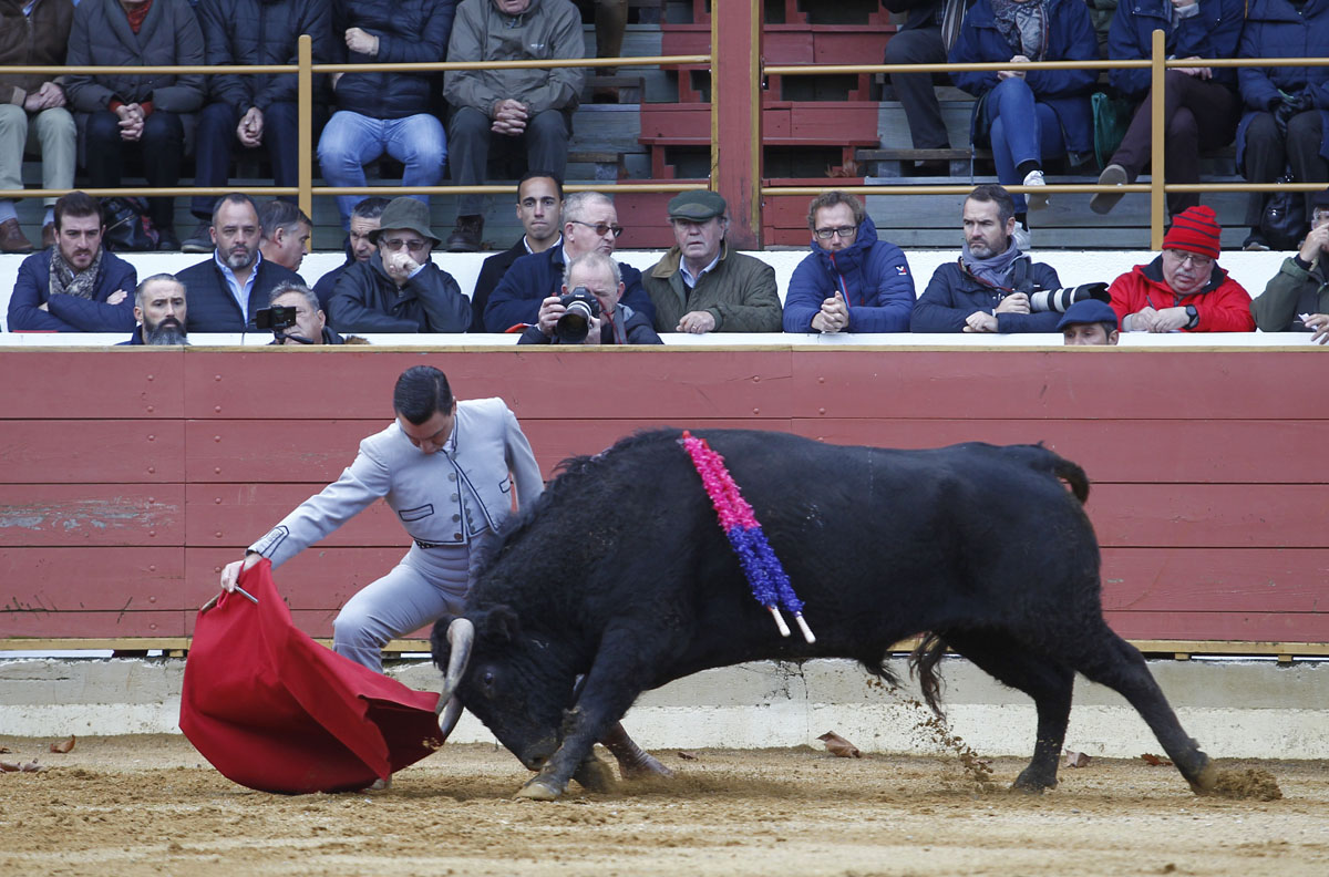 Rion de Landes (Francia) - Festival - Domingo 18 de noviembre de 2018