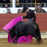 Rion de Landes (Francia) - Festival - Domingo 18 de noviembre de 2018