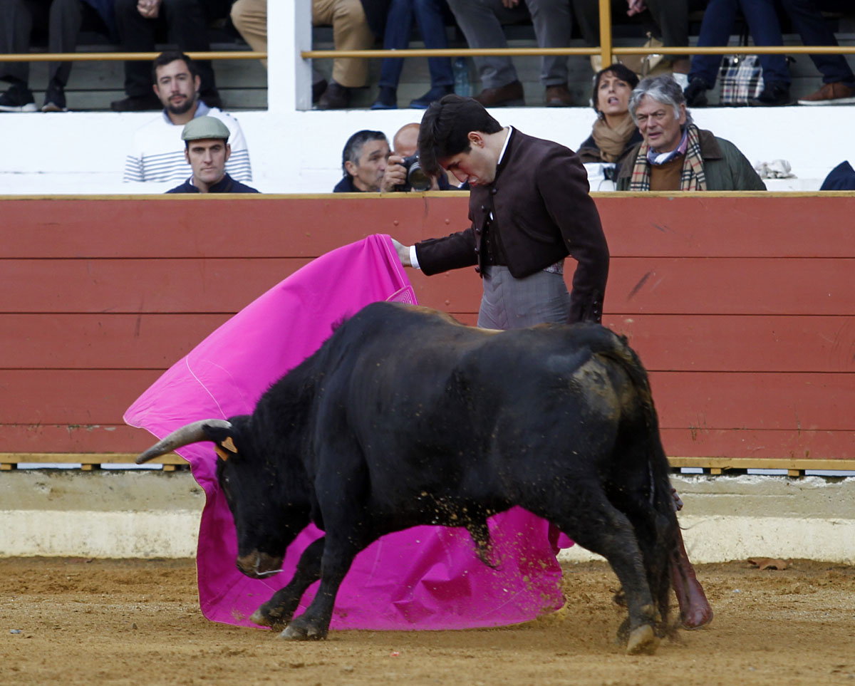 Rion de Landes (Francia) - Festival - Domingo 18 de noviembre de 2018
