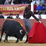 Rion de Landes (Francia) - Festival - Domingo 18 de noviembre de 2018