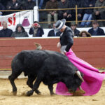 Rion de Landes (Francia) - Festival - Domingo 18 de noviembre de 2018