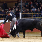 Rion de Landes (Francia) - Festival - Domingo 18 de noviembre de 2018