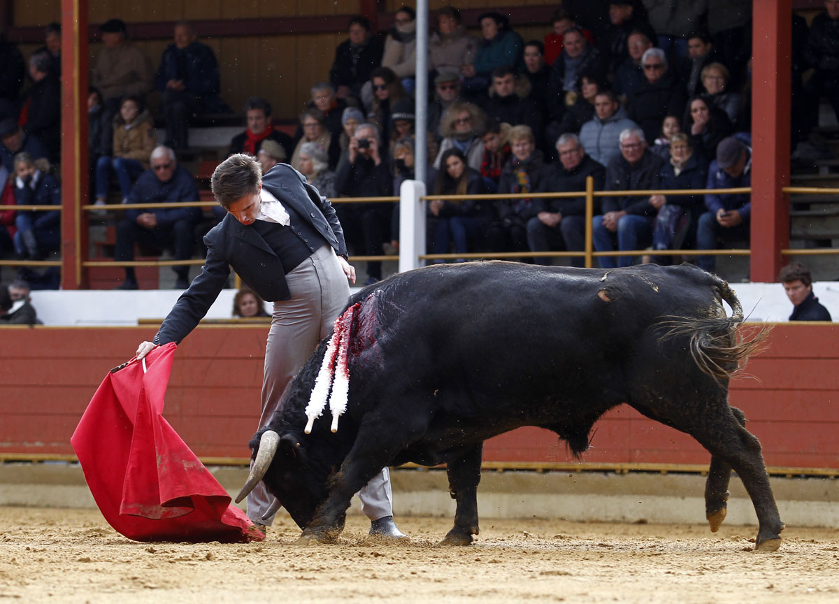 Rion de Landes (Francia) - Festival - Domingo 18 de noviembre de 2018