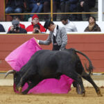 Rion de Landes (Francia) - Festival - Domingo 18 de noviembre de 2018