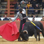 Rion de Landes (Francia) - Festival - Domingo 18 de noviembre de 2018