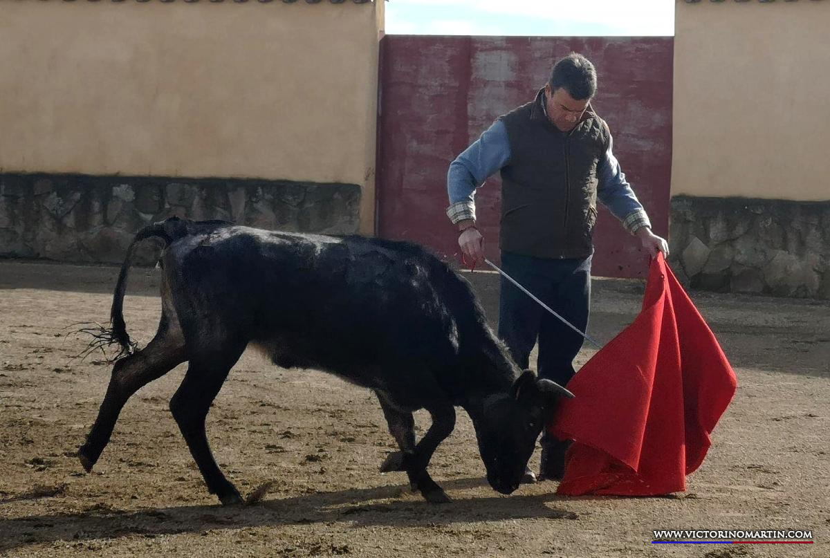 Festival de banderilleros en homenaje a Carretero en Alcázar de San Juan