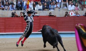 Pontevedra - Corrida de toros - Domingo 12 de agosto de 2018