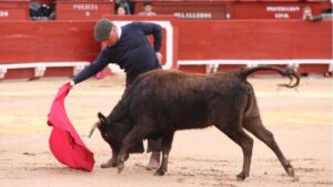 Toledo. Tentadero solidario, 27 de octubre de 2018