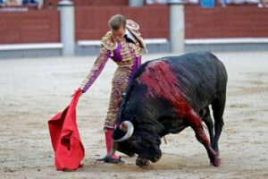 Javier Cortés hará el paseíllo en San Cristóbal en Venezuela