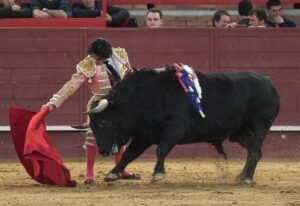 Paulita, en un instante de su única actuación de 2018.