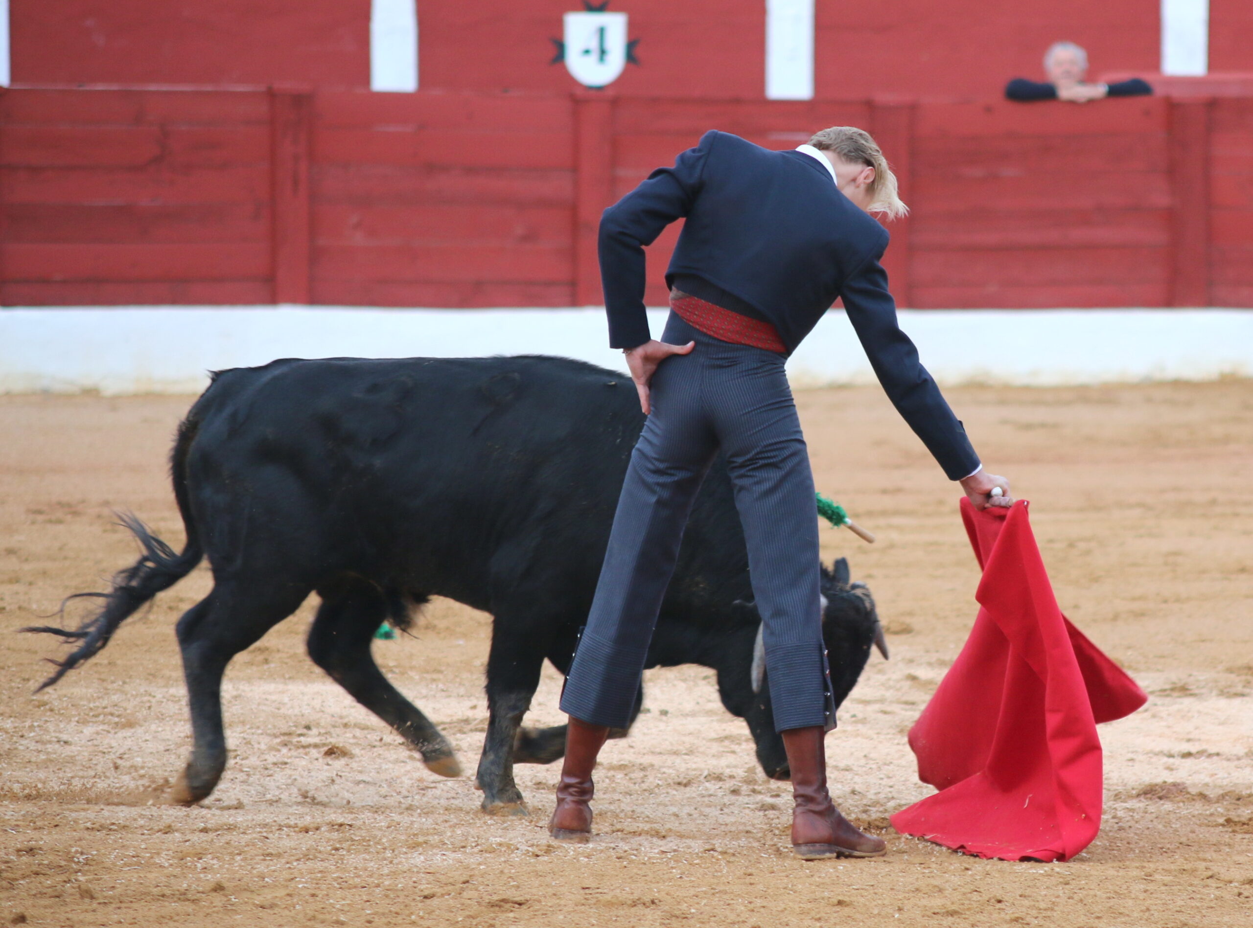 Cinco orejas, un rabo... y petición de mano en Alcázar de San Juan