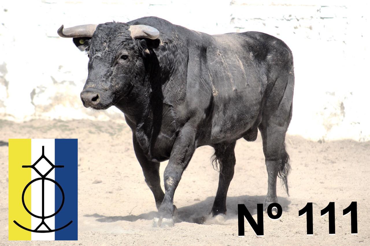 Querétaro (México) - Toros de "De Mora" para el festejo de Navidad con Diego Ventura y Ignacio Garibay y Jerónimo