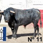 Querétaro (México) - Toros de "De Mora" para el festejo de Navidad con Diego Ventura y Ignacio Garibay y Jerónimo