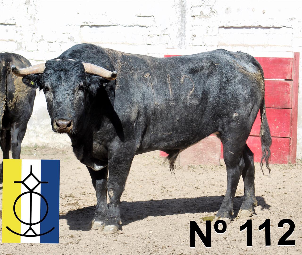 Querétaro (México) - Toros de "De Mora" para el festejo de Navidad con Diego Ventura y Ignacio Garibay y Jerónimo