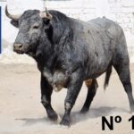 Querétaro (México) - Toros de "De Mora" para el festejo de Navidad con Diego Ventura y Ignacio Garibay y Jerónimo