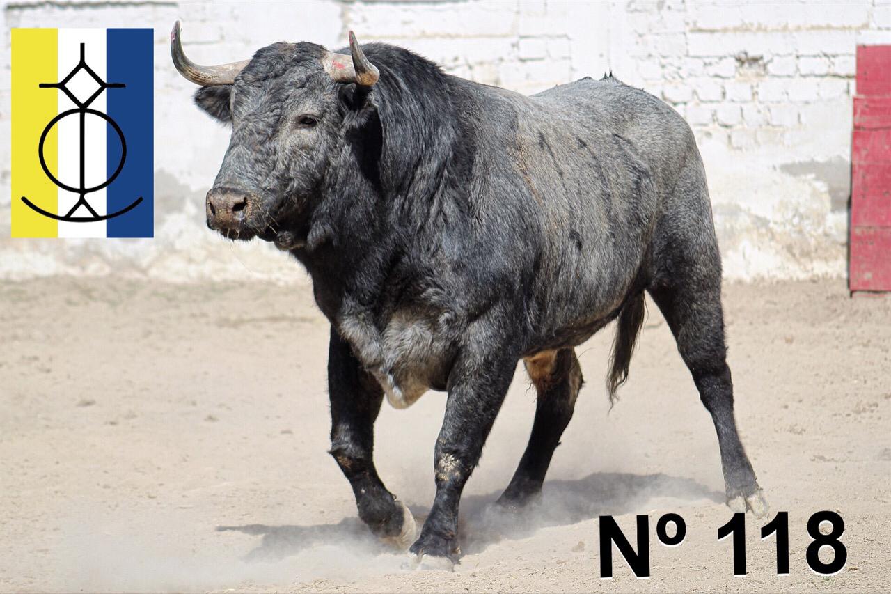 Querétaro (México) - Toros de "De Mora" para el festejo de Navidad con Diego Ventura y Ignacio Garibay y Jerónimo