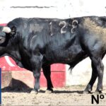 Querétaro (México) - Toros de "De Mora" para el festejo de Navidad con Diego Ventura y Ignacio Garibay y Jerónimo