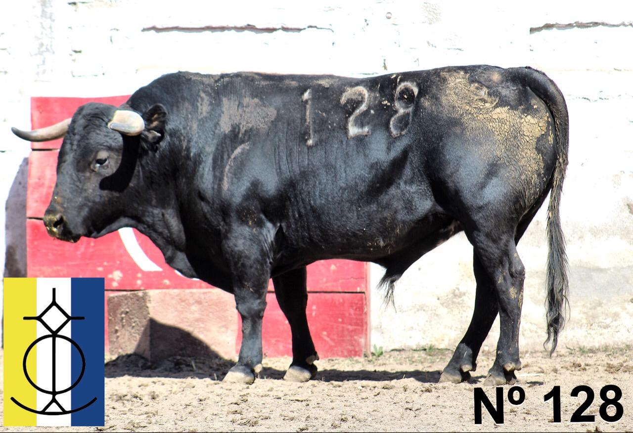 Querétaro (México) - Toros de "De Mora" para el festejo de Navidad con Diego Ventura y Ignacio Garibay y Jerónimo
