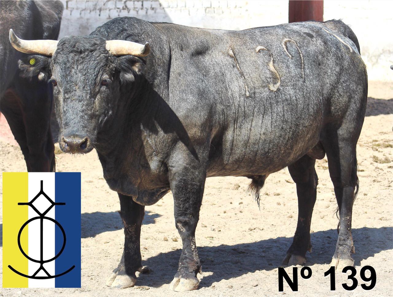 Querétaro (México) - Toros de "De Mora" para el festejo de Navidad con Diego Ventura y Ignacio Garibay y Jerónimo