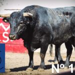 Querétaro (México) - Toros de "De Mora" para el festejo de Navidad con Diego Ventura y Ignacio Garibay y Jerónimo